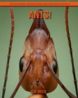 Image for Ants! An Educational Children&#39;s Book about Ants with Fun Facts