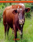 Image for Stier! Ein padagogisches Kinderbuch uber Stier mit lustigen Fakten