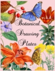 Image for Botanical Drawing Plates : Draw flowers &amp; plants the classical way