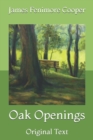 Image for Oak Openings : Original Text