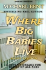 Image for Where Big Babies Live - nappy version