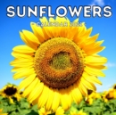 Image for Sunflowers Calendar 2021 : Cute Gift Idea For Sunflowers Lovers Men And Women