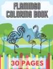 Image for Flamingo Coloring Book