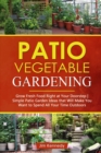 Image for Patio Vegetable Gardening : Grow Fresh Food Right at Your Doorstep - Simple Patio Garden Ideas That Will Make You Want to Spend All Your Time Outdoors
