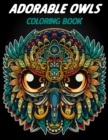Image for Adorable owls coloring book