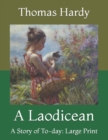 Image for A Laodicean