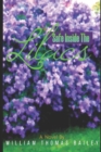 Image for Safe Inside The Lilacs