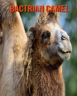 Image for Bactrian Camel : Beautiful Pictures &amp; Interesting Facts Children Book About Bactrian Camel