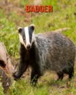 Image for Badger : Beautiful Pictures &amp; Interesting Facts Children Book About Badger