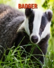 Image for Badger : Amazing Facts &amp; Pictures