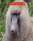 Image for Baboons