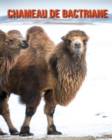 Image for Chameau de Bactriane : Photos Etonnantes &amp; Recueil d&#39;Informations Amusantes Concernant les Chameau de Bactriane pour Enfants