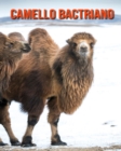 Image for Camello bactriano : Libro para ninos con imagenes asombrosas y datos curiosos sobre los Camello bactriano