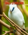 Image for Bali Starling : Amazing Photos &amp; Fun Facts Book About Bali Starling For Kids