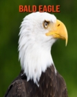 Image for Bald Eagle : Beautiful Pictures &amp; Interesting Facts Children Book About Bald Eagle