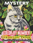Image for MyStery Color By Number Coloring Book : Stress Relieving Patterns Color by Number Adult Coloring Book Mystery Color (Gift For Adult, Teens)