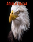 Image for Aguila calva : Imagenes asombrosas y datos curiosos