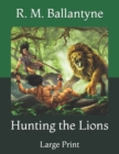 Image for Hunting the Lions