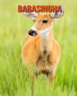 Image for Barasingha : Amazing Facts &amp; Pictures