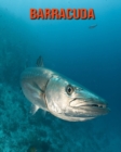 Image for Barracuda