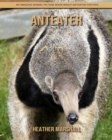 Image for Anteater