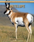 Image for Antelope