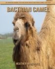 Image for Bactrian camel
