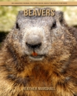 Image for Beavers