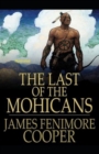 Image for The Last of the Mohicans Illustrated