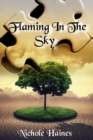 Image for Flaming In The Sky