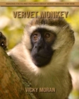 Image for Vervet Monkey