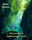Image for The Lost Boy in Castleveranne Forest