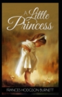 Image for A Little Princess Novel by Frances Hodgson Burnett : (Annotated Edition)
