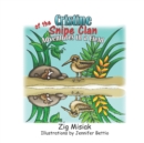 Image for Cristine the Tiny Snipe : Adventures in a Field