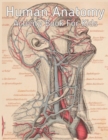 Image for Human Anatomy Activity Book for Kids : An Amazing Inside-Out Tour of the Human Body (National Geographic Kids) - Bones, Muscles, Blood, Nerves and How They Work (Coloring Books) (Dover Children&#39;s Scie