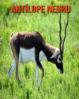 Image for Antilope negro