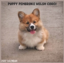 Image for Pembroke Welsh Corgi Puppy 2022 Calendar