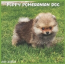 Image for Pomeranian Puppy 2022 Calendar