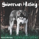 Image for Siberian Husky Calendar 2022