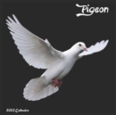 Image for Pigeon 2022 Calendar