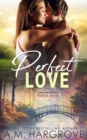Image for Perfect Love