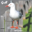 Image for Gull 2022 Calendar