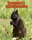 Image for Schwarzes Eichhoernchen : Schoene Bilder &amp; Kinderbuch mit interessanten Fakten uber Schwarzes Eichhoernchen
