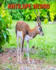 Image for Antilope negro : Imagenes asombrosas y datos curiosos