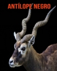 Image for Antilope negro : Libro para ninos con imagenes asombrosas y datos curiosos sobre los Antilope negro