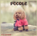 Image for Poodle Calendar 2022