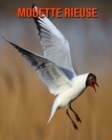 Image for Mouette Rieuse
