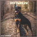 Image for Rottweiler 2022 Calendar