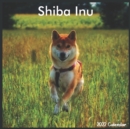 Image for Shiba Inu 2022 Calendar