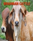 Image for Brahman Cattle : Beautiful Pictures &amp; Interesting Facts Children Book About Brahman Cattle